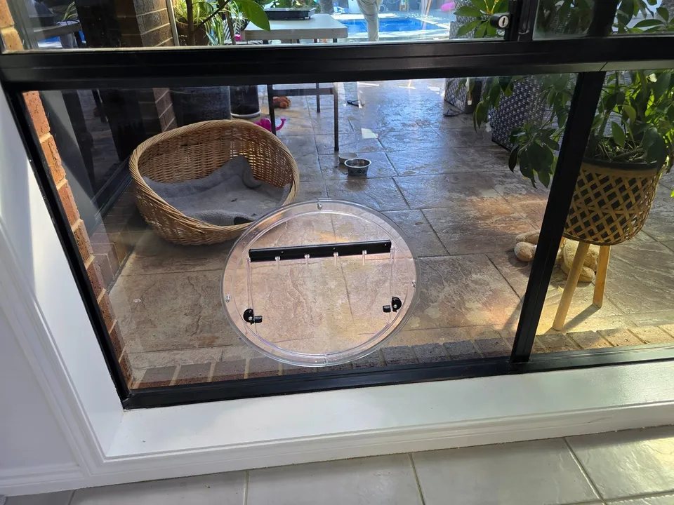Recent pet doors in glass work